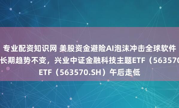 专业配资知识网 美股资金避险AI泡沫冲击全球软件行业，金融科技长期趋势不变，兴业中证金融科技主题ETF（563570.SH）午后走低