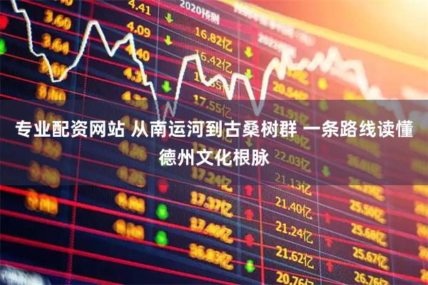 专业配资网站 从南运河到古桑树群 一条路线读懂德州文化根脉